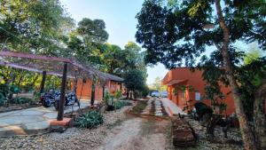 Vườn quanh CT Vila Raiza Goulão