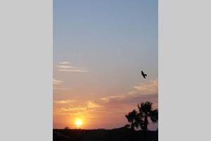 The sunrise or sunset as seen from A villát or nearby
