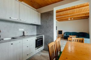 A kitchen or kitchenette at Chaty Panoráma