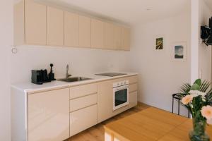 A kitchen or kitchenette at Bacherlhaus