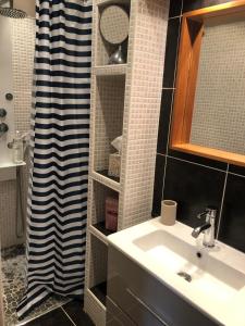 a bathroom with a sink and a shower curtain at Studio Bijou Plage Antibes Juan-les-Pins in Antibes