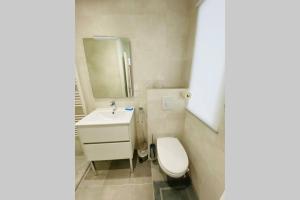 a bathroom with a toilet and a sink and a mirror at Appartement 2 pièces plage de Nauzan in Saint-Palais-sur-Mer