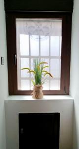 une fenêtre avec une plante en pot devant elle dans l'établissement LA CASITA, à Zamora