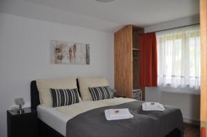 Fotografie z fotogalerie ubytování Appartement Popelka v destinaci Saalfelden am Steinernen Meer