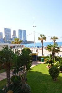 a view of a beach with palm trees and the ocean at El Pato Primera Linea in Benidorm