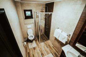 La salle de bains est pourvue d'une douche, de toilettes et d'un lavabo. dans l'établissement Pensiunea Romana, à Onești