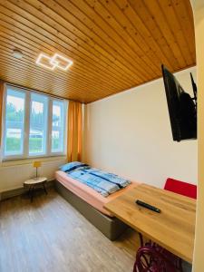 TV a/nebo společenská místnost v ubytování Hostel