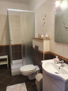 a bathroom with a toilet and a sink and a shower at Bougenville in Kampor +30 photos