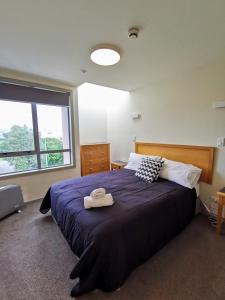 a bedroom with a large bed with a large window at The Anchorage Apartments in Mount Maunganui