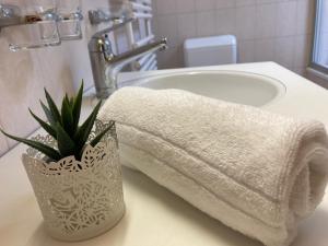 a bathroom sink with a towel and a potted plant at Ferienwohnung Chirchgass in Meiringen