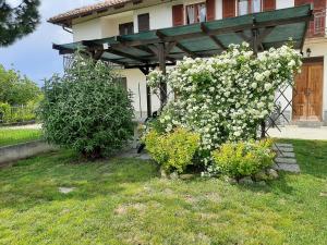 CortazzoneにあるCascina Teresinaの庭の花束家