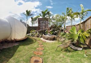 a garden with a tent and chairs on the grass at Green Land Bubble Glamping in Cabarete