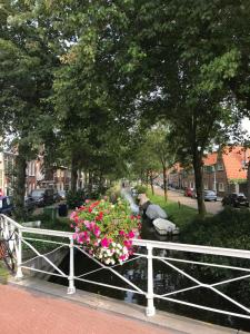 Fotografie z fotogalerie ubytování De Haarlemse Logeerkamer v destinaci Haarlem