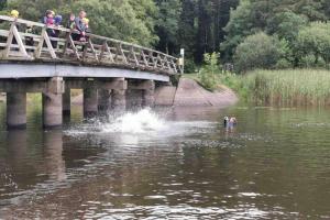 Loodusmaastik puhkemaja lähedal