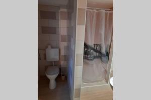 a bathroom with a toilet and a shower at Charmant petit appartement avec bel exterieur. in Saint-Amarin