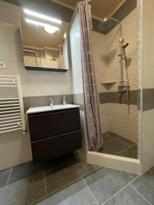 La salle de bains est pourvue d'un lavabo et d'une douche. dans l'établissement Levendula Apartman, à Hajdúszoboszló