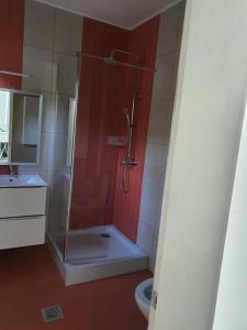 a bathroom with a shower with a sink and a toilet at Vila 4 Anotimpuri in Moieciu de Sus +16 photos