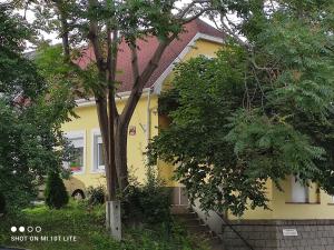 Vonkajšia záhrada v ubytovaní Szitakötő Apartman