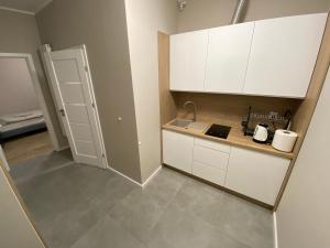 Kuchyň nebo kuchyňský kout v ubytování Apartament Kleopatra