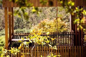 A garden outside Cabanas de Canduas