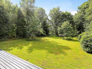 otwarty dziedziniec z polem trawy i drzew w obiekcie 8 person holiday home in Vejby w mieście Vejby