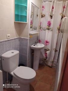 łazienka z toaletą i umywalką w obiekcie Apartamento en Frigiliana w mieście Frigiliana