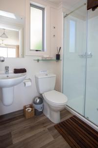 W łazience znajduje się toaleta, umywalka i prysznic. w obiekcie The Lodge, with Mt Cook views w mieście Twizel