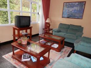 a living room with a couch and a tv at Vega Del Sella in Arriondas