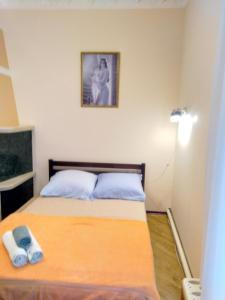 1 dormitorio con 1 cama y una foto en la pared en Апартаменты у моря en Vapnyarka