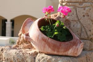 Fotografie z fotogalerie ubytování Aphrodite Sands Resort v destinaci Mandria