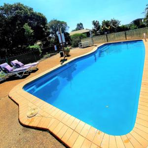 a large blue swimming pool with two lounge chairs next to it at Bundaberg East Cabin and Tourist Park in Bundaberg