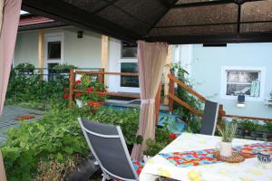 Zahrada ubytování Pension Pock