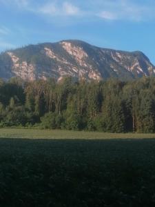 Przyroda w pobliżu tego apartamentu