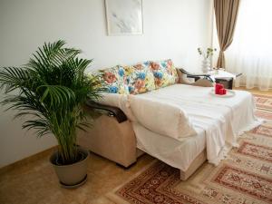 コンスタンツァにあるMarin Apartmentのリビングルーム(ソファ、植物付)