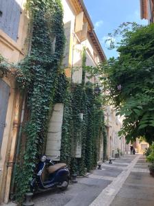 a scooter parked next to a building covered in ivy at Studio de Charme à la Roquette in Arles +10 photos