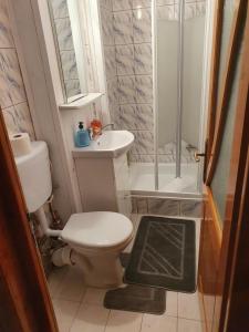 Ένα μπάνιο στο Apartament Florin