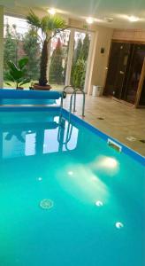 a large blue swimming pool in a house at Bálint & Timi wellness apartman in Siófok