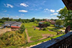 a view of a farm from a balcony at Feriensuite-auf-dem-Bauernhof-fuer-2-3-Personen-im-Herzen-Niederbayerns in Mamming