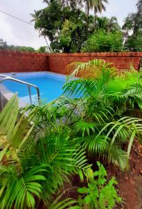 a swimming pool in a garden with green plants at Swarg 5Bhk Villa Alibaug in Alibaug