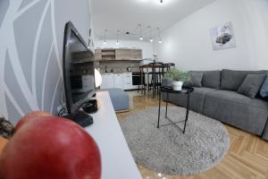 sala de estar con TV y sofá en Apartment DobraYa Grey, en Novi Sad