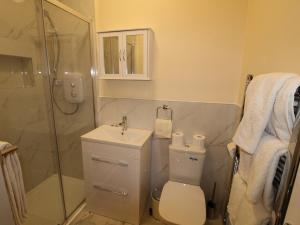 a bathroom with a shower and a toilet and a sink at Garda House in Kinsale