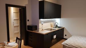 Kuchyňa alebo kuchynka v ubytovaní Apartament Zamkowy