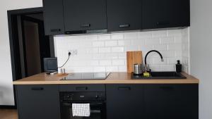 Kuchyňa alebo kuchynka v ubytovaní Apartament Zamkowy