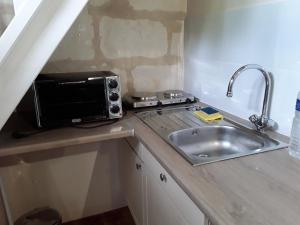 eine Küche mit Spüle und Mikrowelle in der Unterkunft Cottage La Halouère in Saint-Philbert-du-Peuple