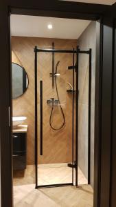 een badkamer met een douche en een glazen deur bij Apartament Zamkowy in Lublin