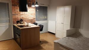 Kuchyňa alebo kuchynka v ubytovaní Apartament Zamkowy