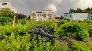 Zahrada ubytování Casa la vino