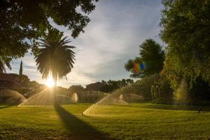 eine Palme in einem Park mit der Sonne dahinter in der Unterkunft Toscana Estate in Bloemfontein