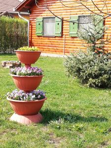 zwei Blumentöpfe auf dem Rasen im Garten in der Unterkunft Faház in Tiszaszőlős