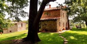 A garden outside Il Venaio